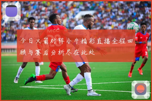 今日火箭对阵小牛精彩直播全程回顾与赛后分析尽在此处