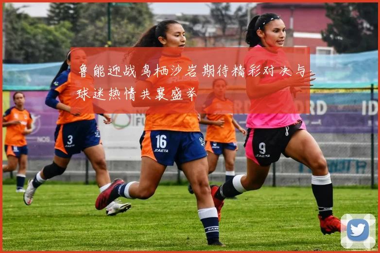鲁能迎战鸟栖沙岩期待精彩对决与球迷热情共襄盛举